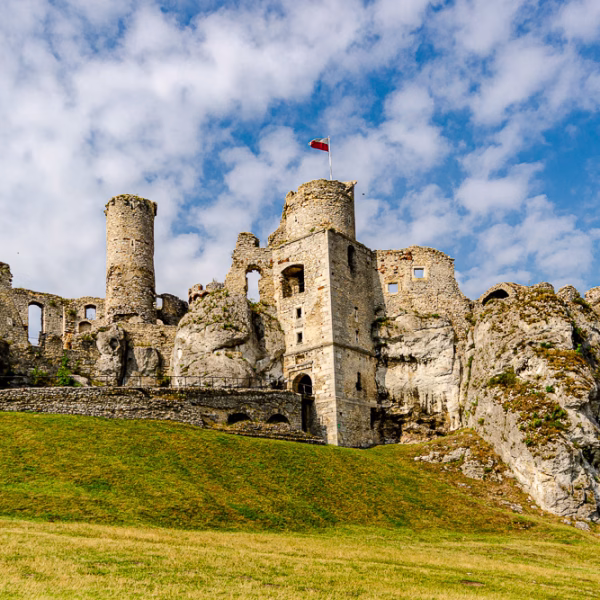 Burg Ogrodzieniec //wasted-lands//