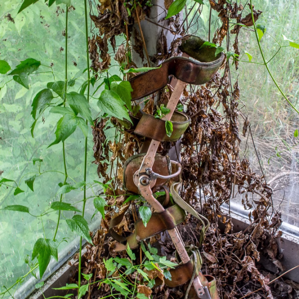 Die Strumpffabrik //wasted-lands//