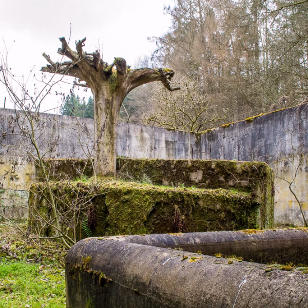 Der verlassene Tierpark