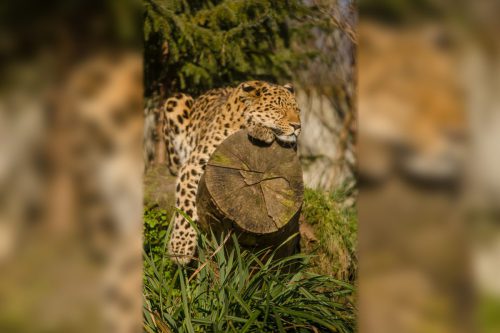 leipzig 121-Bearbeitet