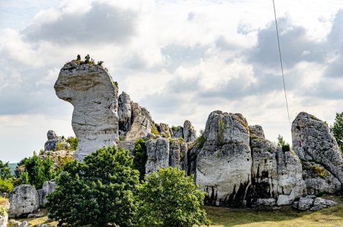 Burg-Ogrodzieniec-34