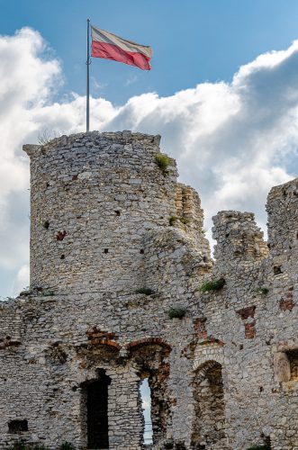 Burg-Ogrodzieniec-64